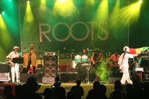 gallery-roots2011